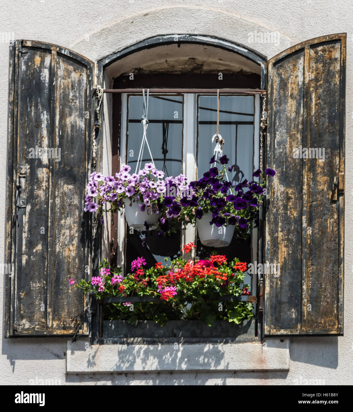 Flowers in the window Stock Photo Alamy