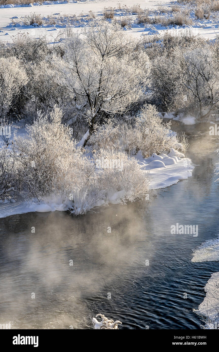 Winter sunny landscape with river and forest Stock Photo - Alamy