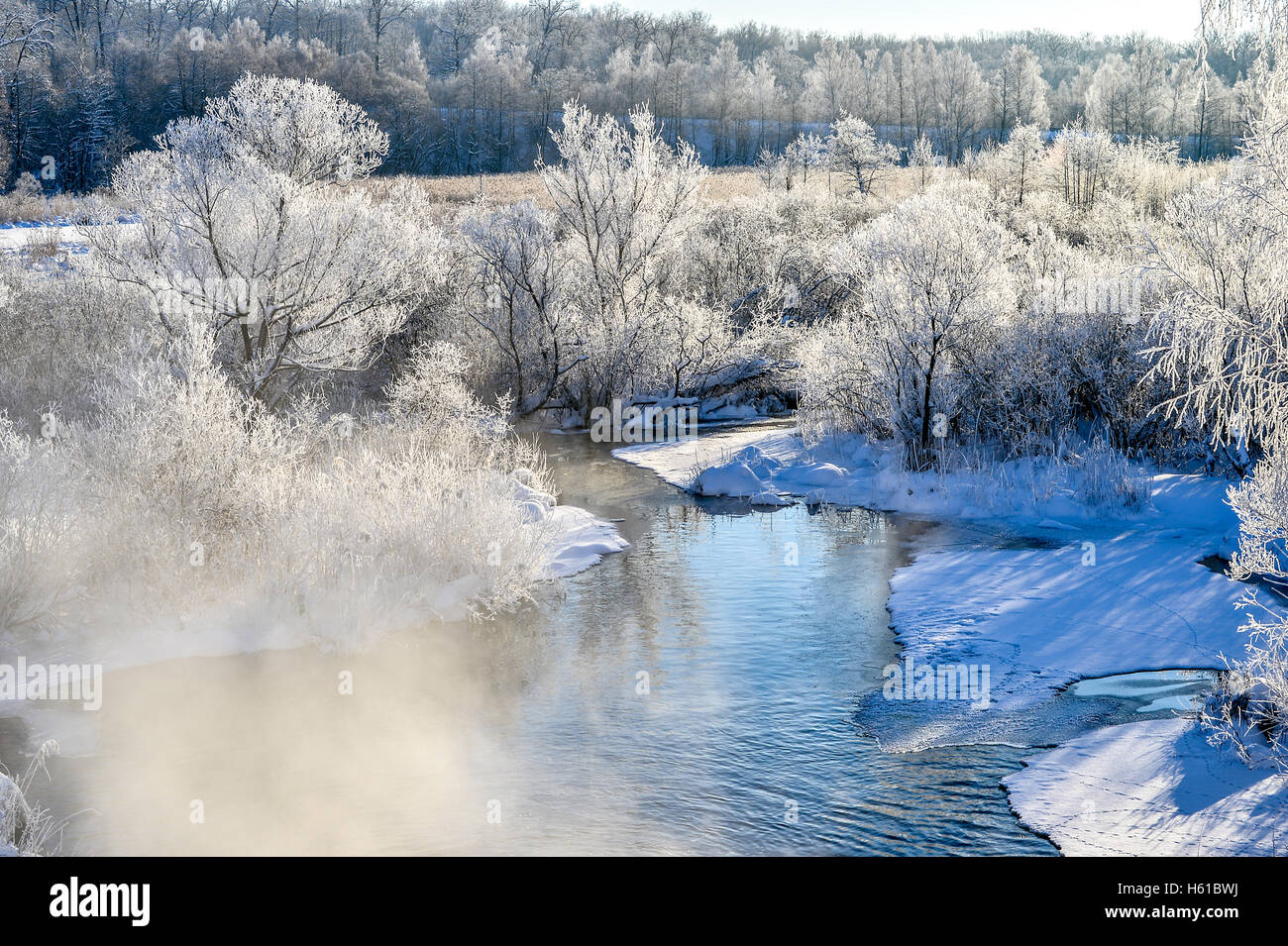 Winter sunny landscape with river and forest Stock Photo - Alamy