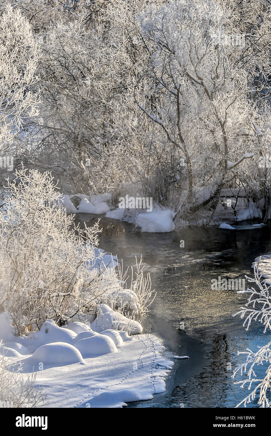 Winter sunny landscape with river and forest Stock Photo - Alamy