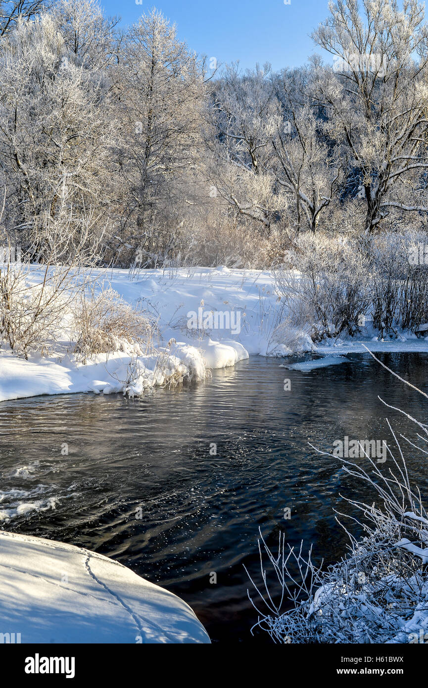 Winter sunny landscape with river and forest Stock Photo - Alamy