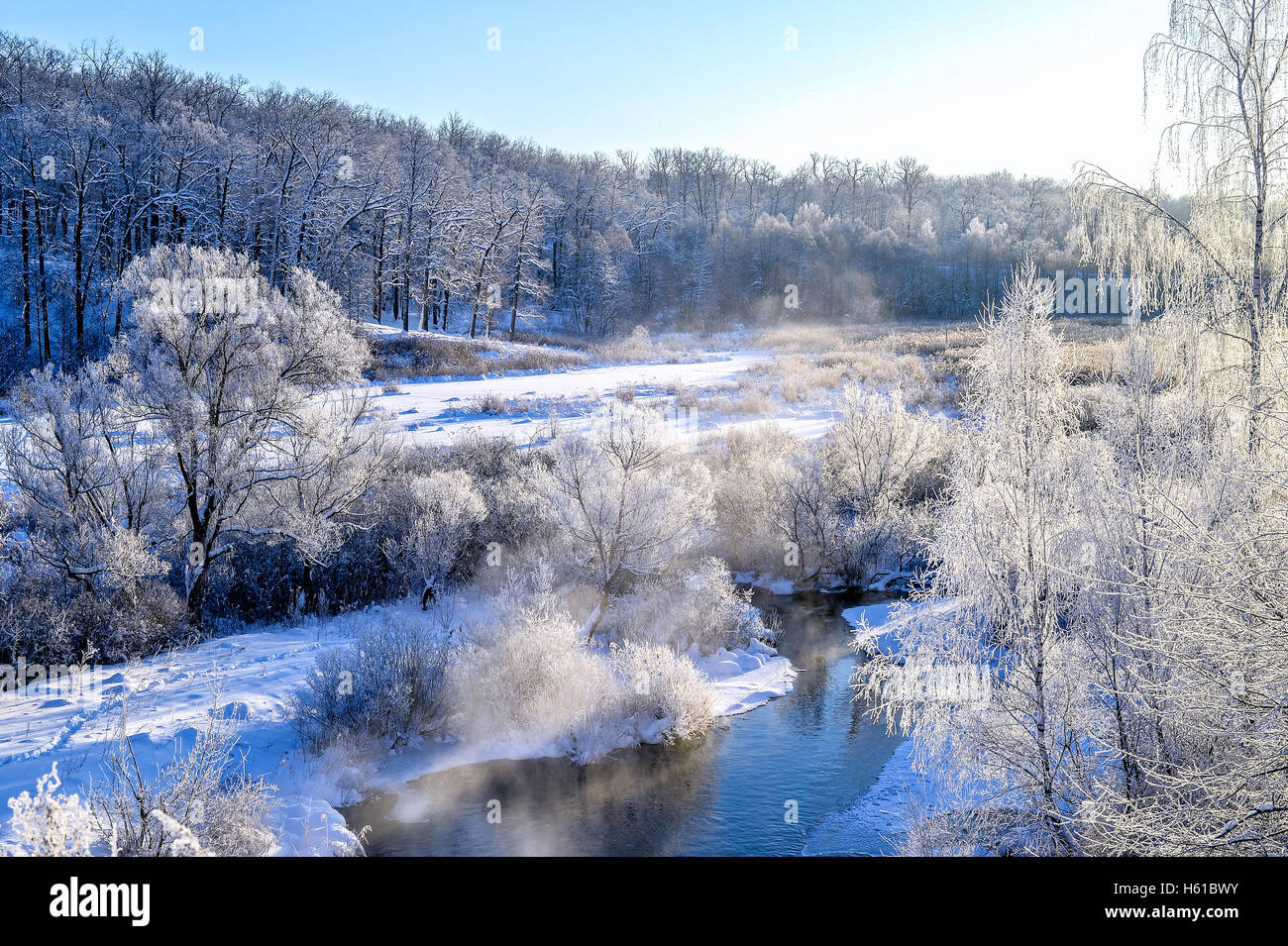 Winter sunny landscape with river and forest Stock Photo - Alamy