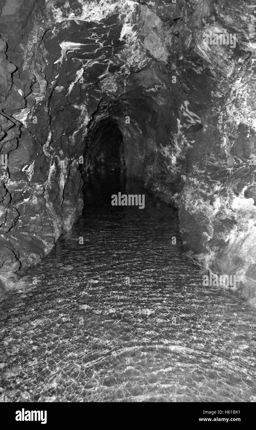 Abandoned bunkers Black and White Stock Photos & Images - Alamy
