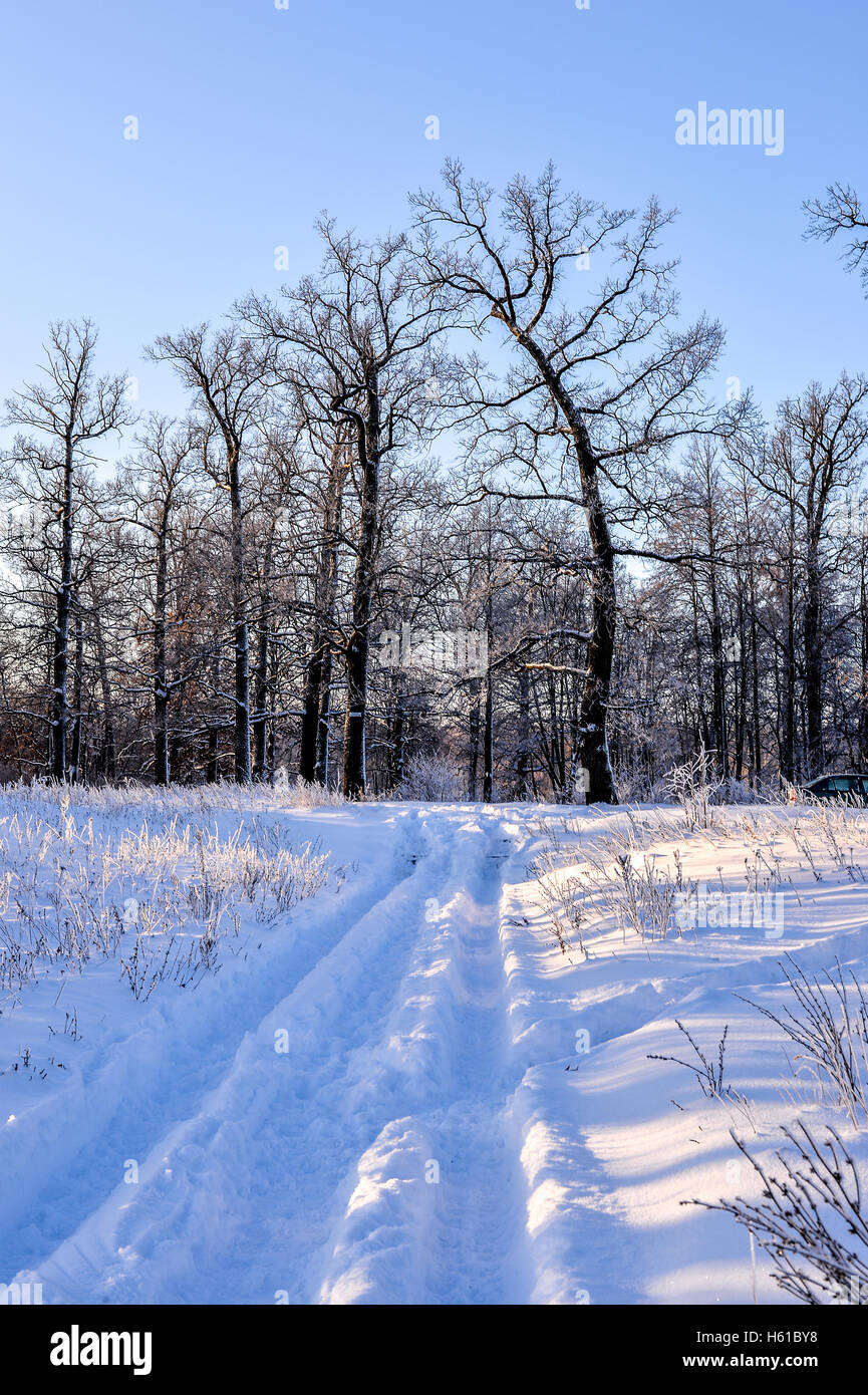 Winter snowy road in a forest on a clear day Stock Photo - Alamy