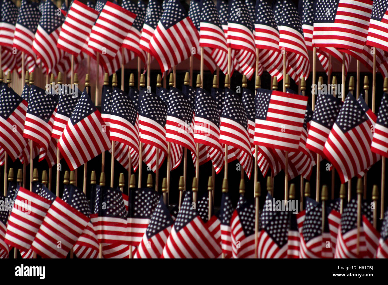Display of hundreds of small American flags Stock Photo - Alamy