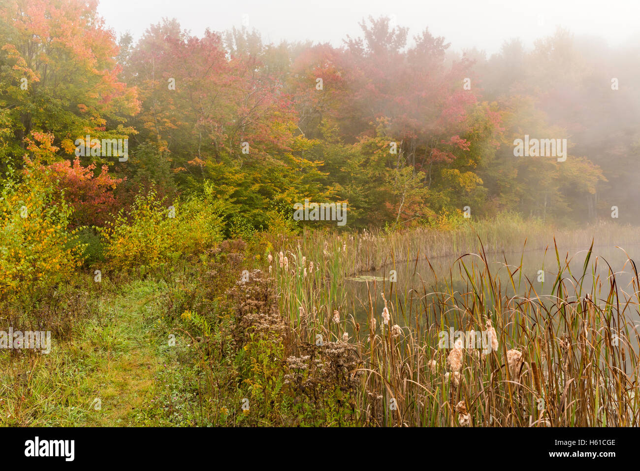 A foggy Autumn morning on snake pond on the Shaverton Trail in Andes, New York in the Catskills Mountains Stock Photo