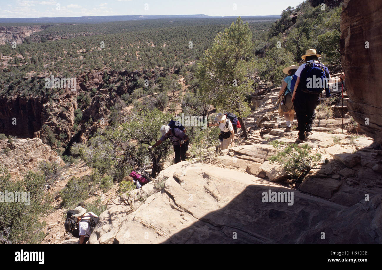 Group of hikers begin descent down trail into Canyon de Chelly National Monument, Arizona Stock Photo