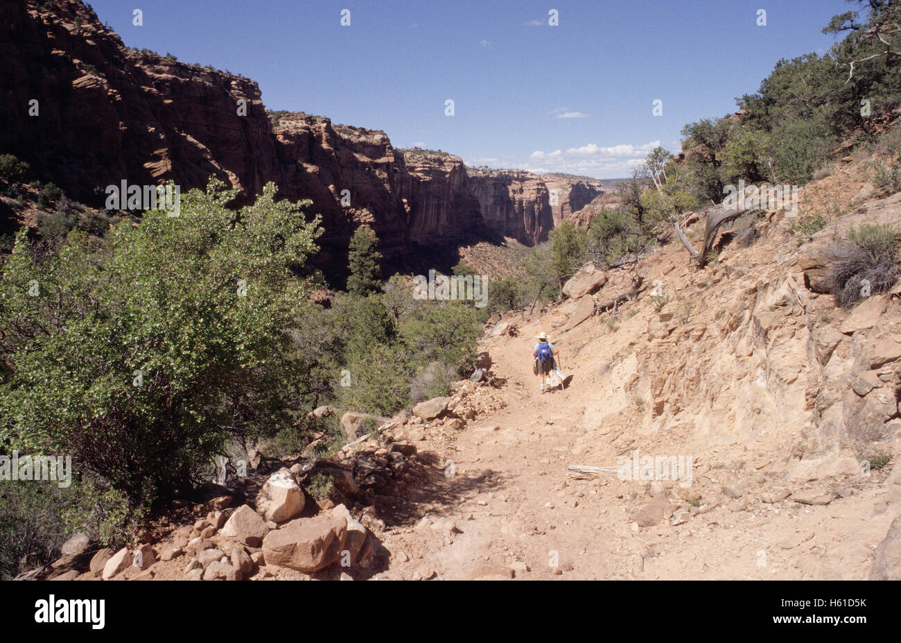 Female hiker on trail descending into Canyon de Chelly National Monument, Arizona Stock Photo