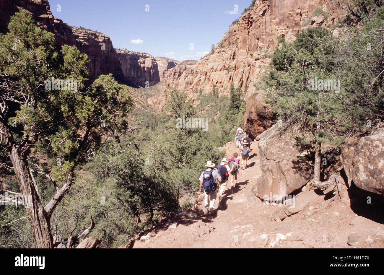 Group of hikers begin descent down trail into Canyon de Chelly National Monument, Arizona Stock Photo