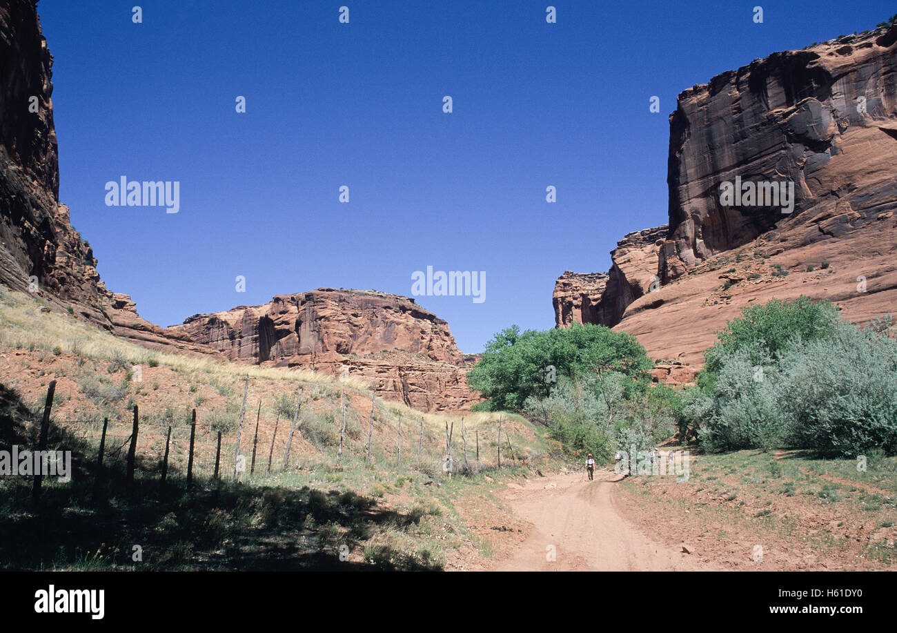 Hikers on trail in Canyon de Chelly National Monument, Arizona Stock Photo