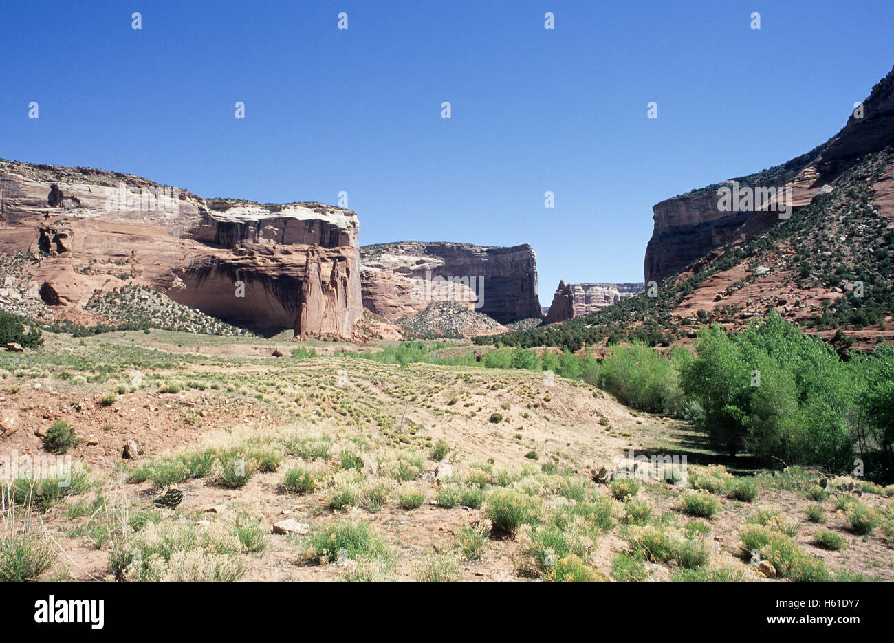 View of Canyon de Chelly National Monument from ground level, Arizona Stock Photo