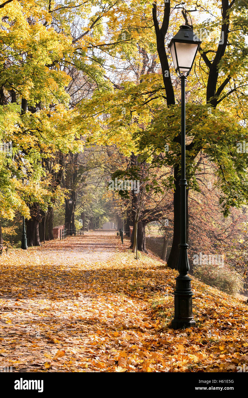 Autumn alley in the city. Romantic landscape Stock Photo - Alamy