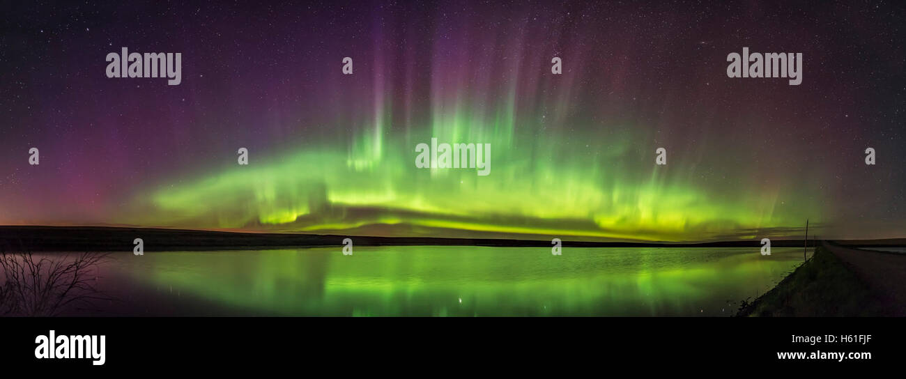 A 150° panorama of the Northern Lights in a classic arc across the north, with curtains stretching up along magnetic field lines Stock Photo