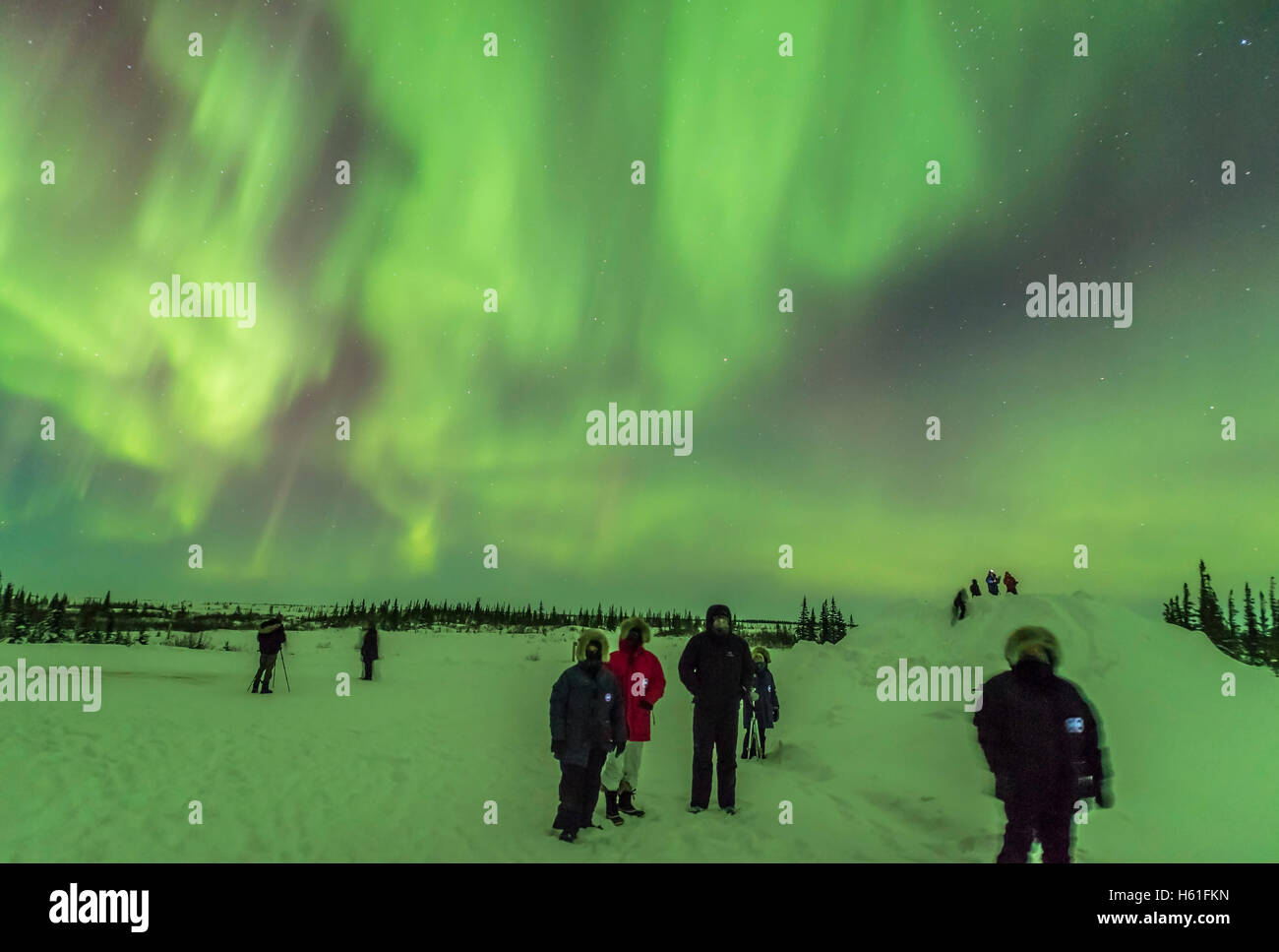 Aurora watchers looking south to a bright curtain of Northern Lights while other curtains rippled behind them to the north. This Stock Photo