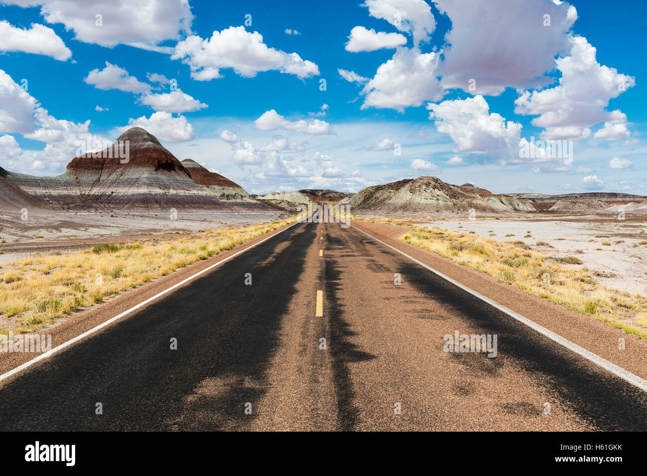 Empty road in the desert in the State of Arizona, USA; Concept for road trip and travel in America Stock Photo