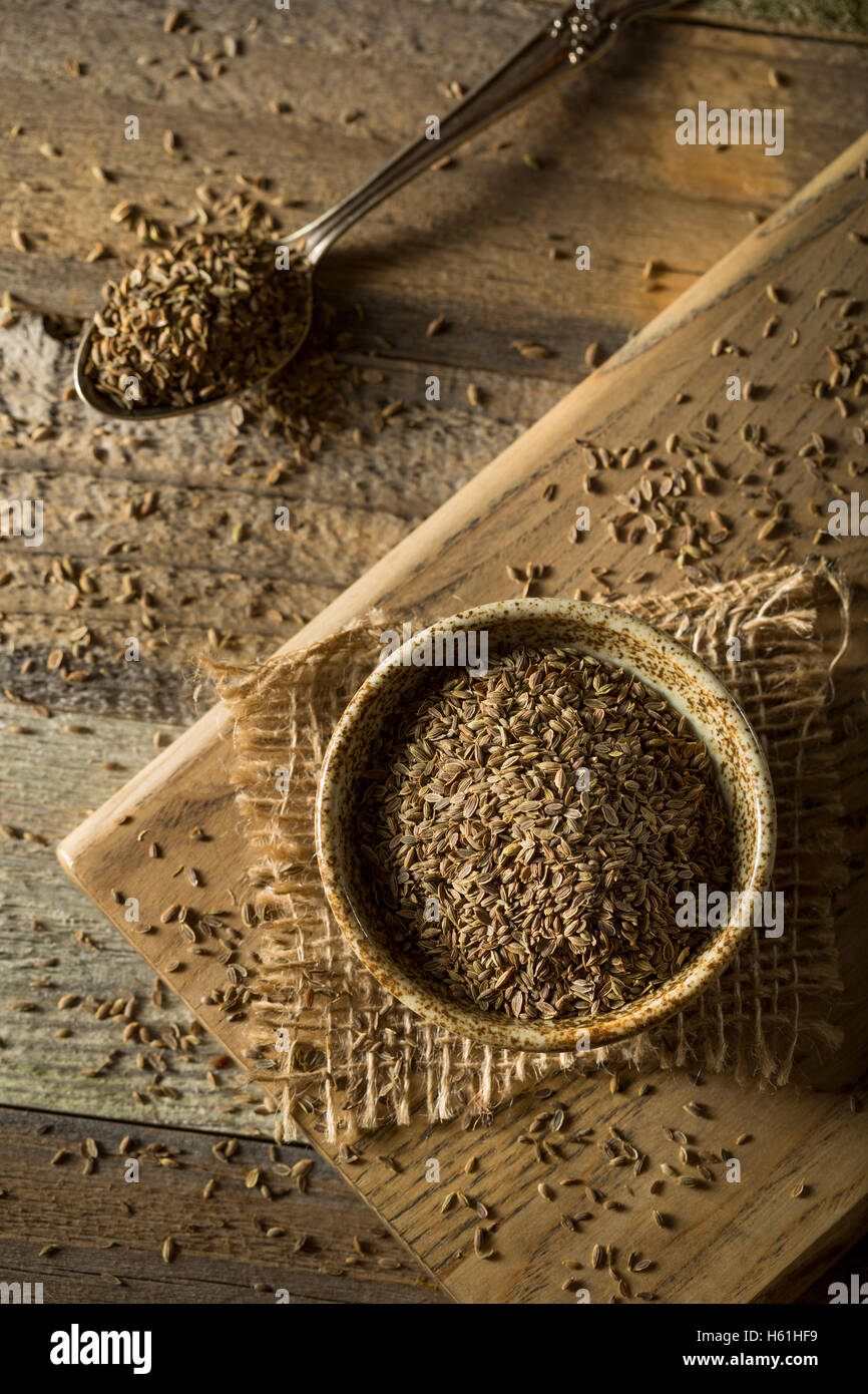 Raw Organic Dill Seed in a Bowl Stock Photo Alamy