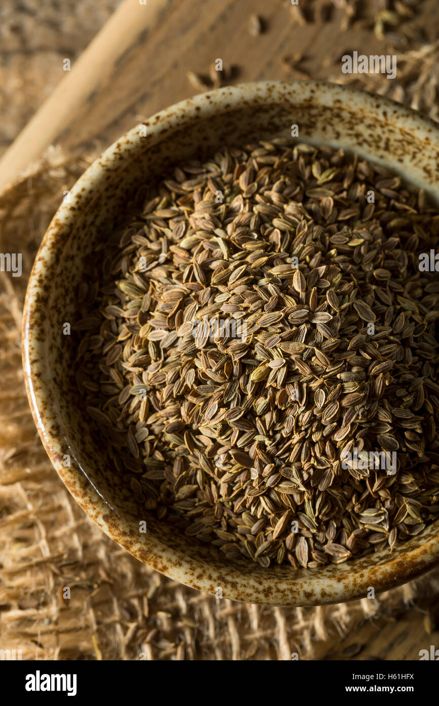 Raw Organic Dill Seed in a Bowl Stock Photo Alamy
