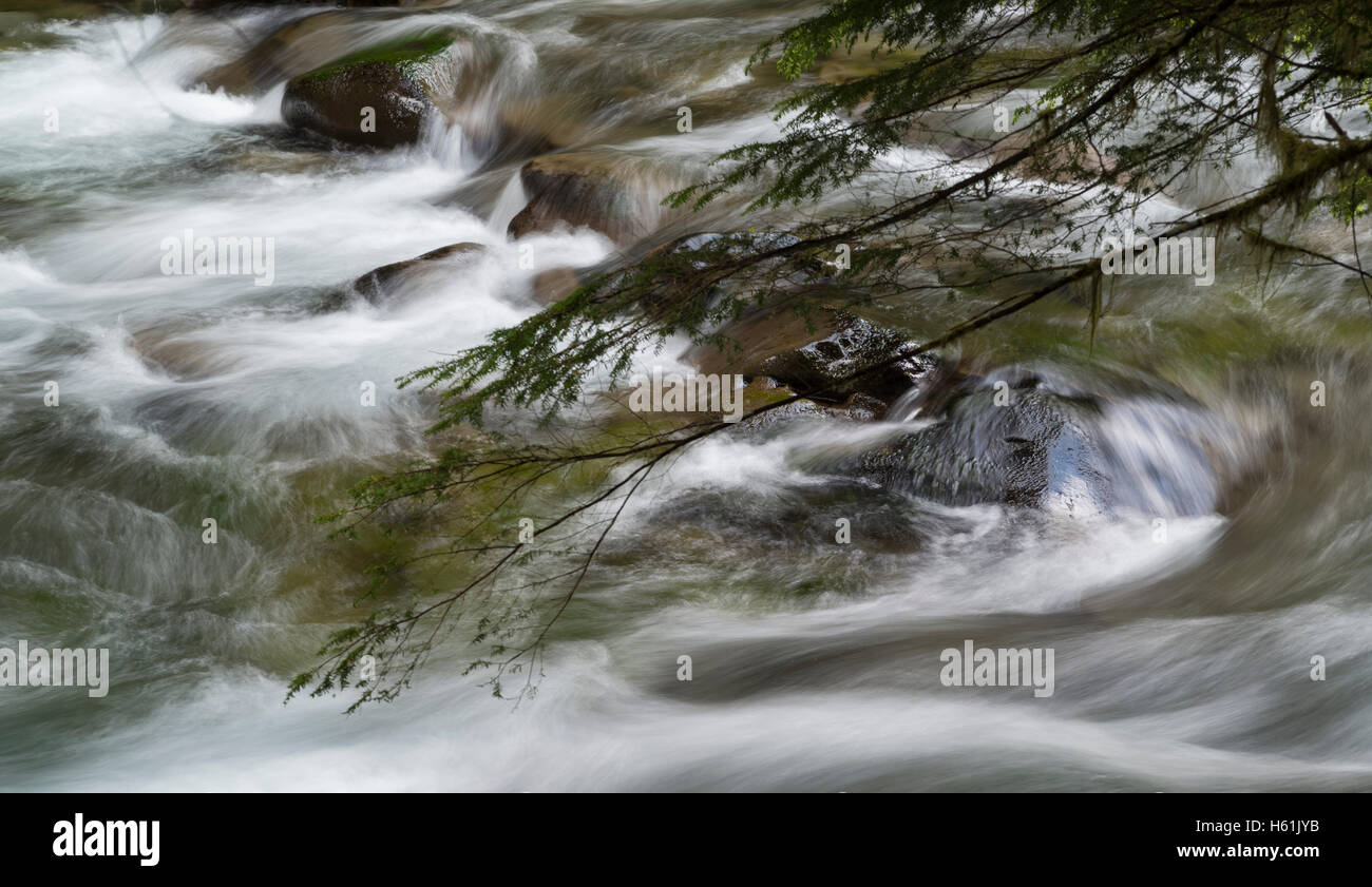 OLYMPIC NATIONAL PARK                       SOL DUC VALLEY   OLYMPIC PENISULA     WASHINGTON USA Stock Photo