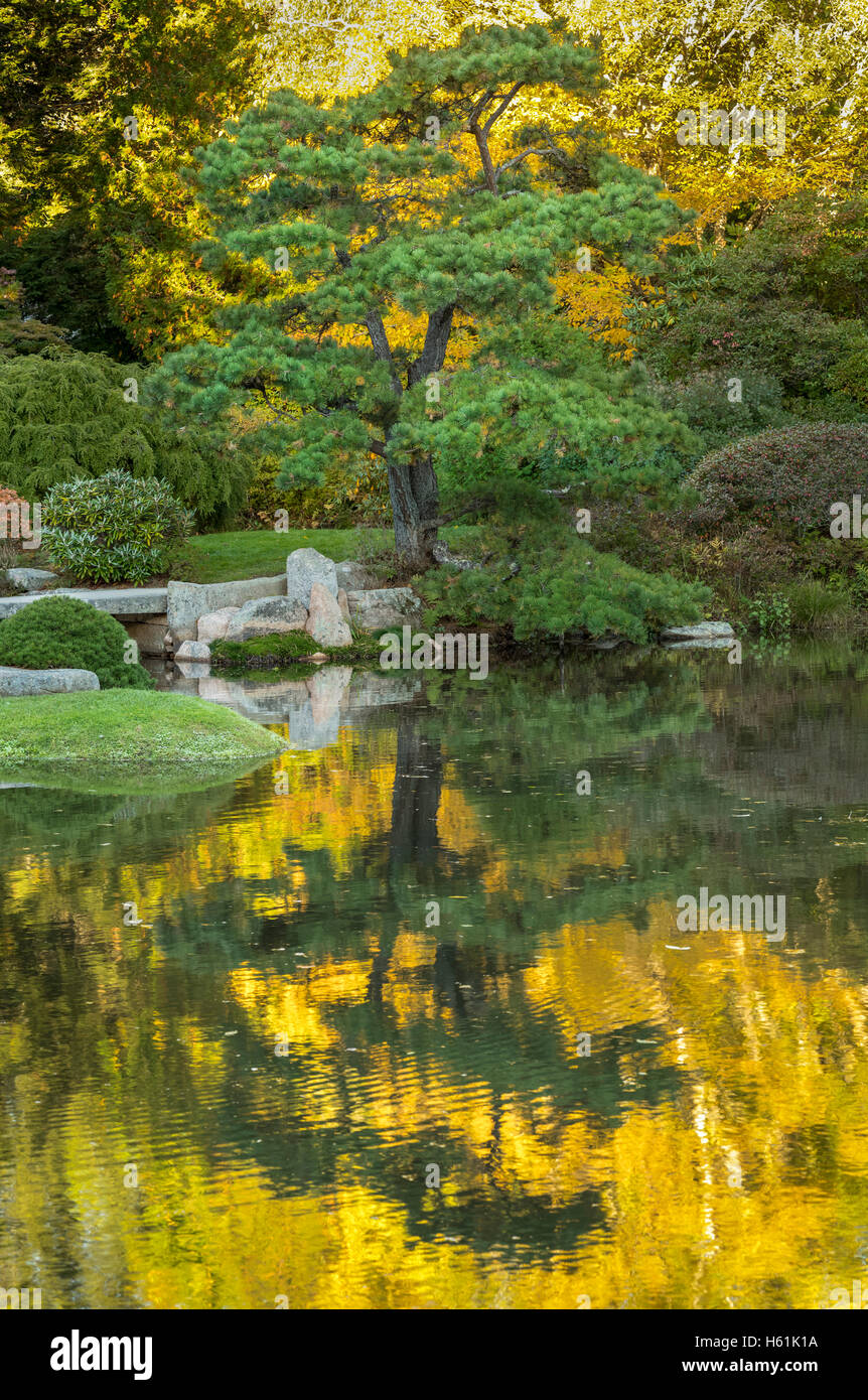ASTICOU AZALEA GARDEN MOUNT DESERT ISLAND MAINE USA Stock Photo - Alamy