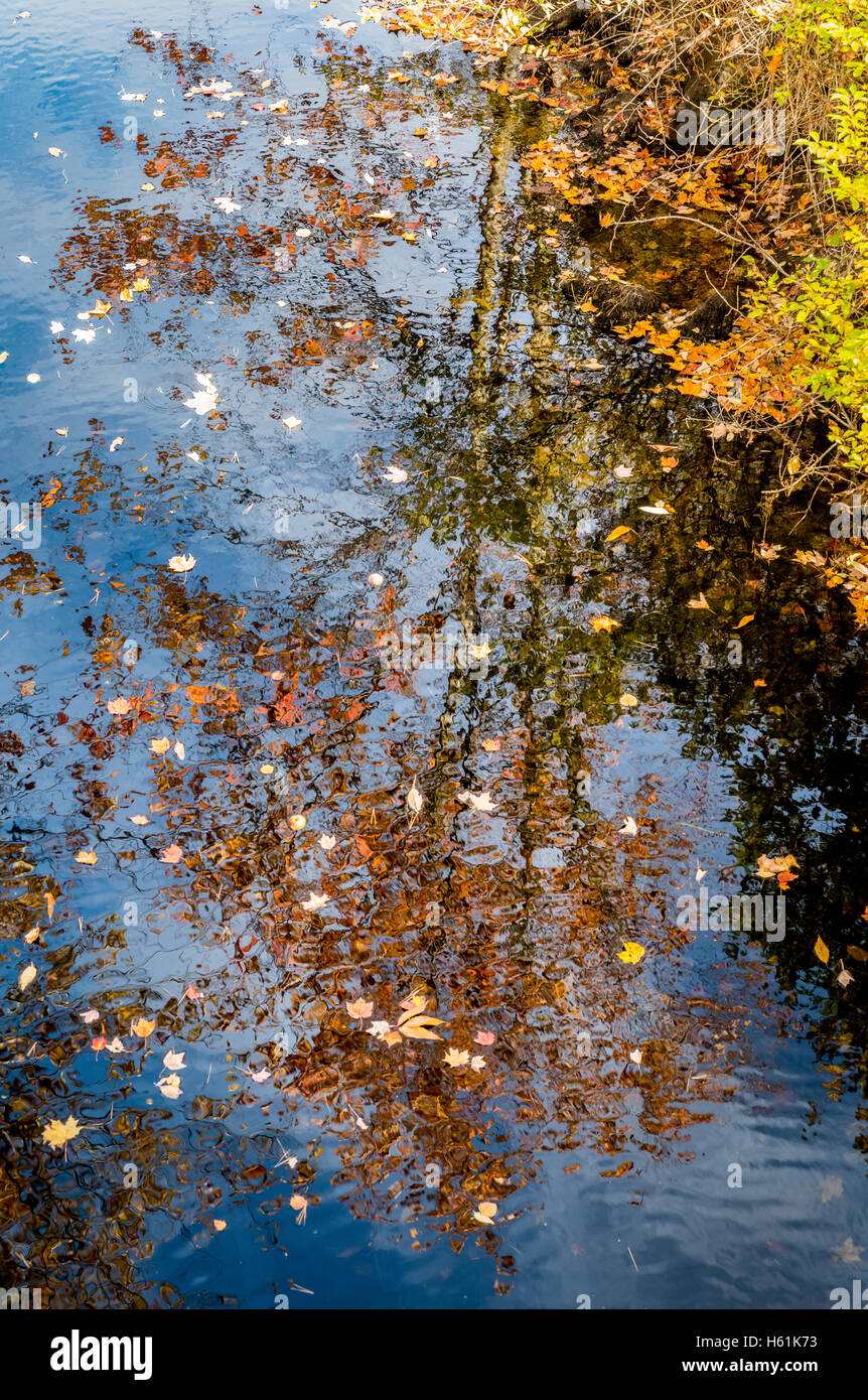 Water reflections Bristol Maine USA Stock Photo