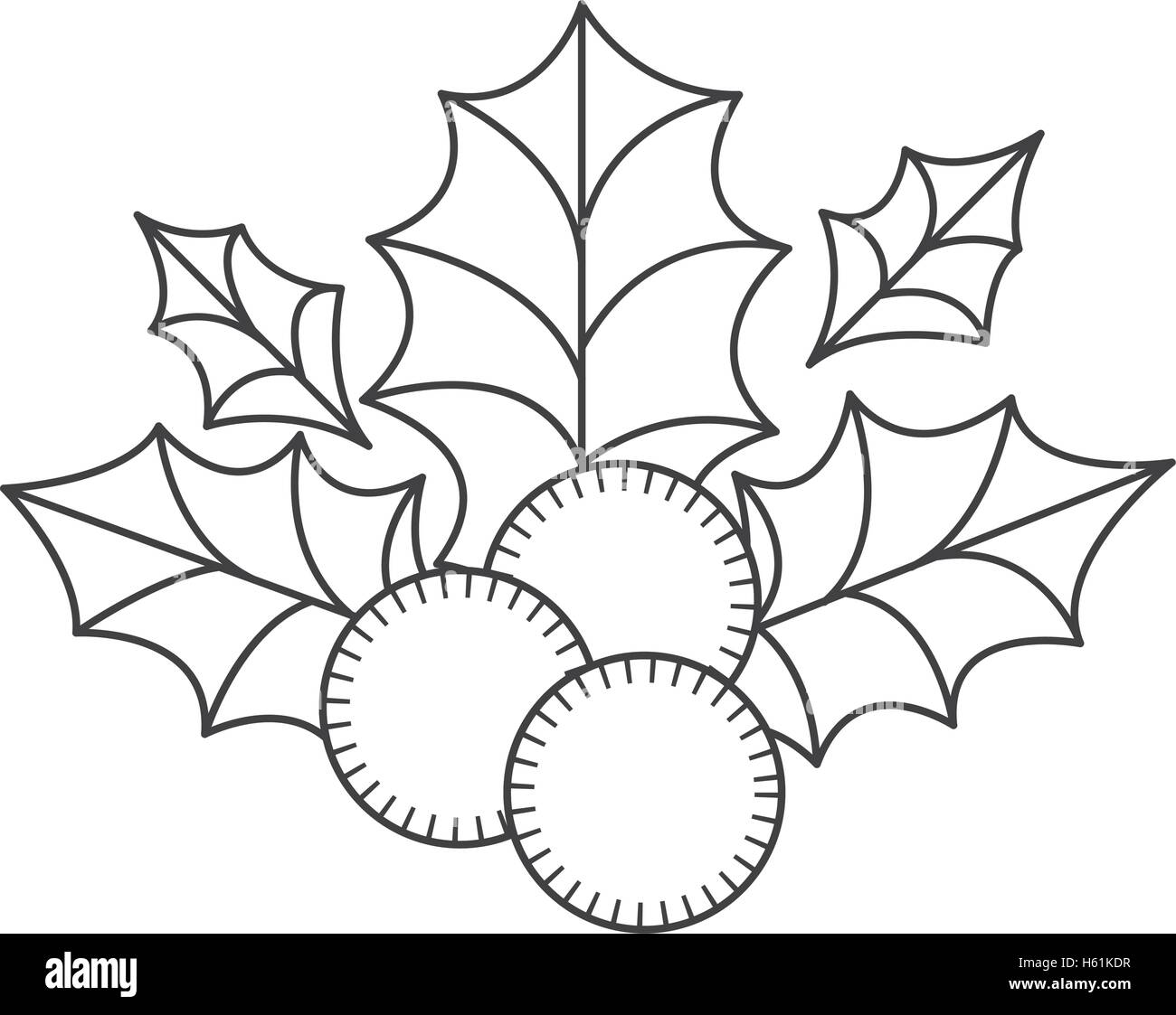 holly berry christmas decoration Stock Vector Image & Art - Alamy