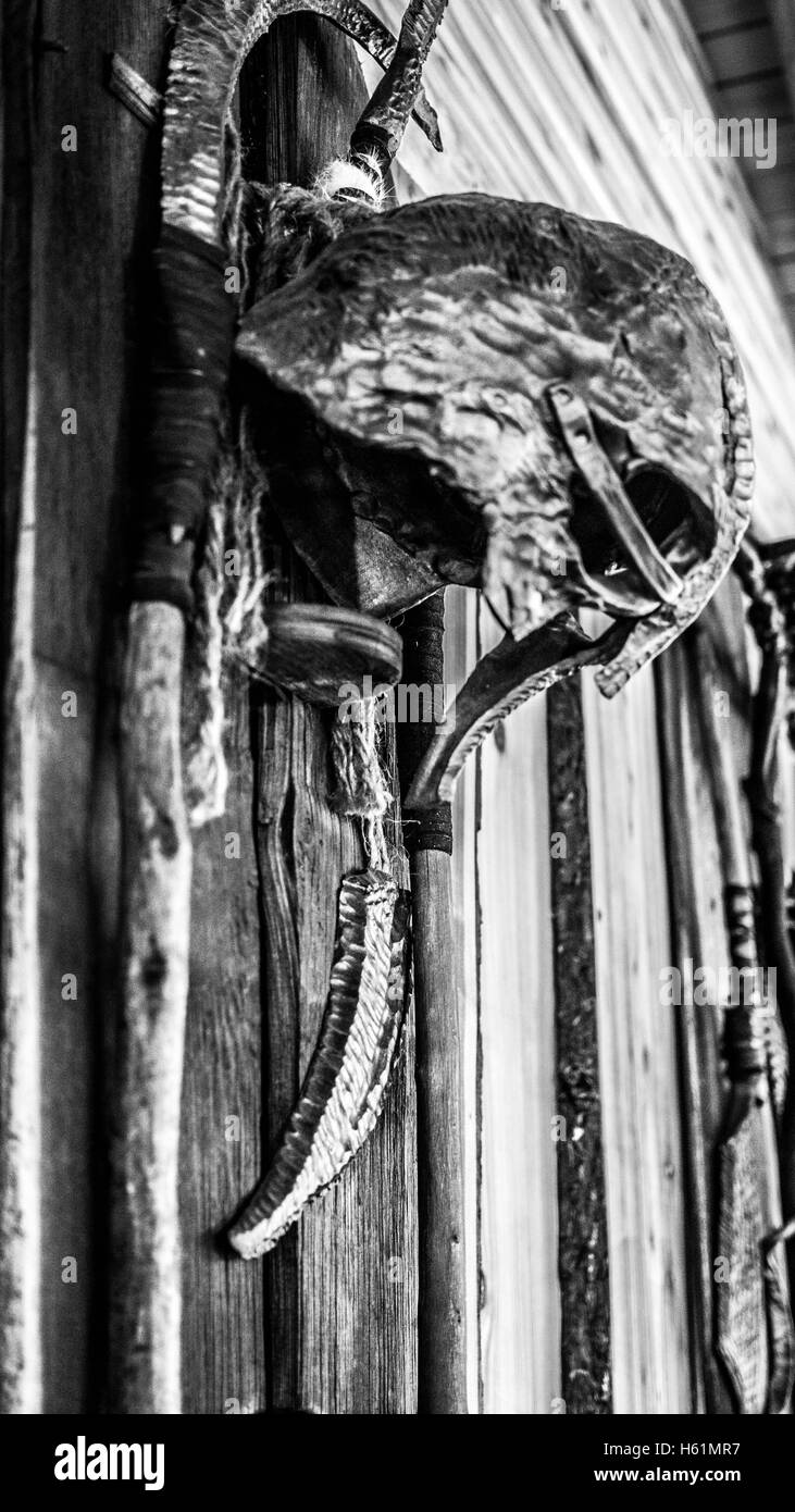 Helmet Black and White Stock Photos & Images - Alamy