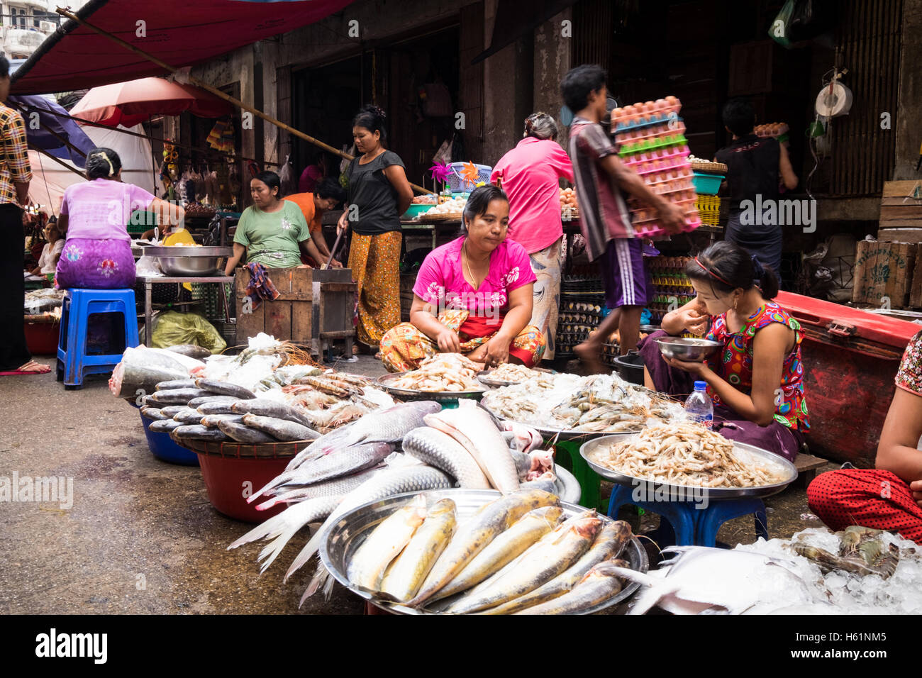 Women selling fresh fish at their street market stall in Downtown Yangon. Stock Photo