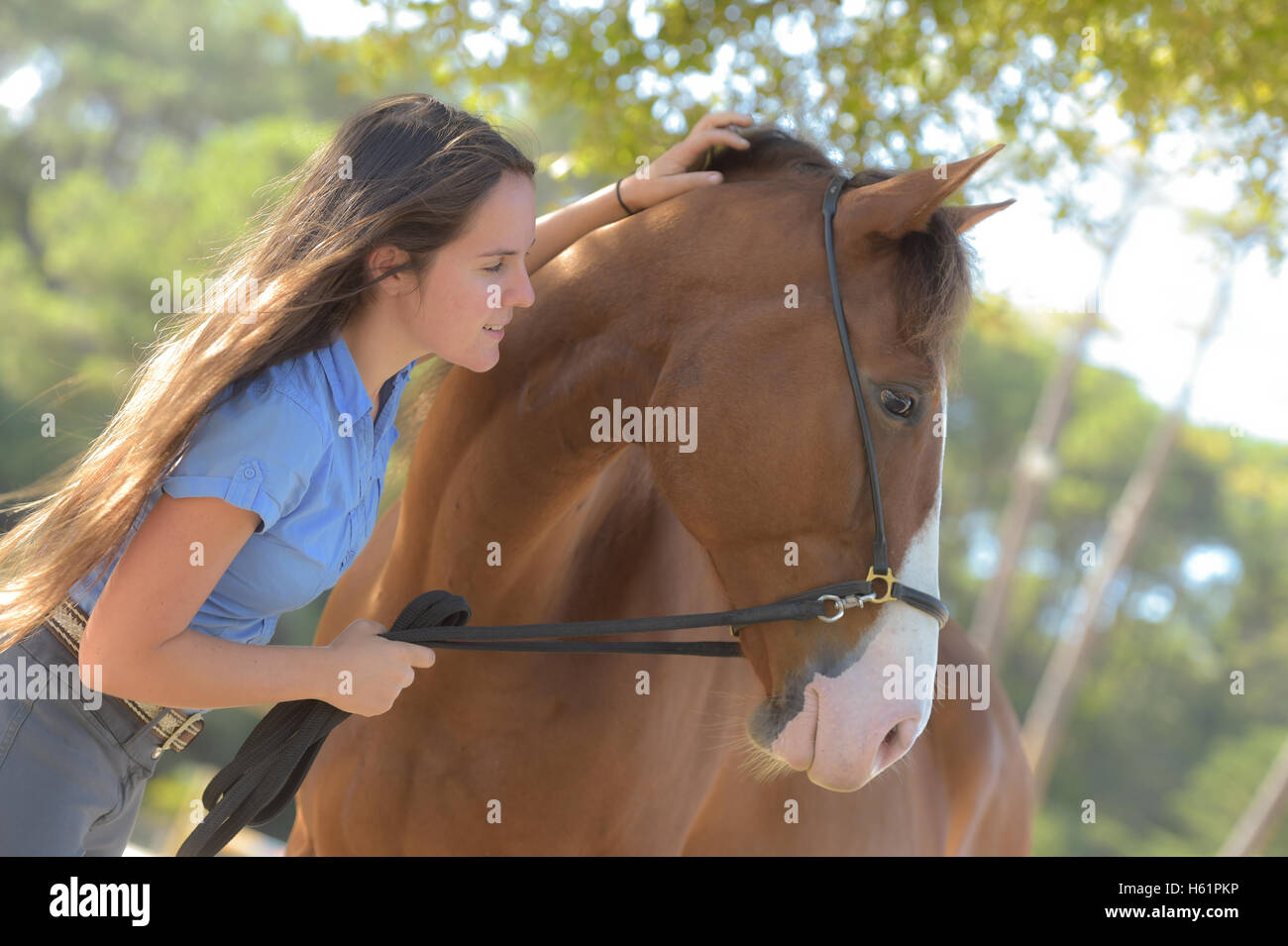 Woman and his horse, equestrian center, France Stock Photo Alamy