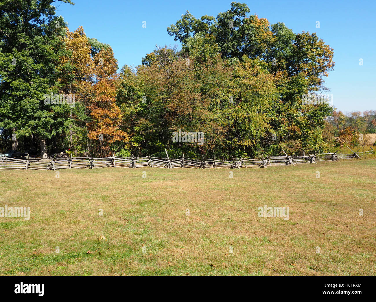large area of green grass surrounded by wood fence and row of trees Stock Photo