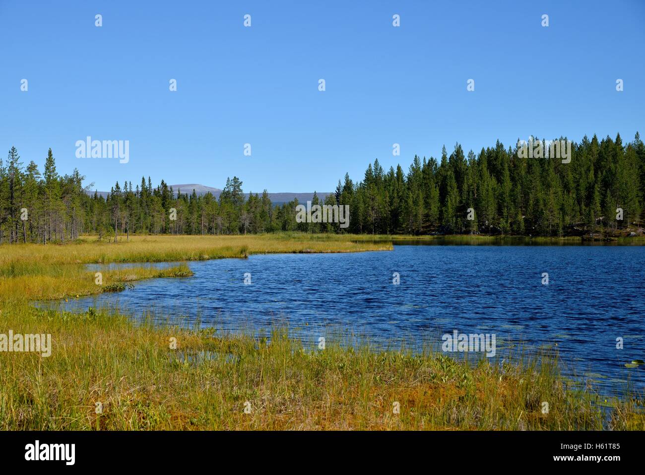 Lake near Börtnan, Ljungdalen, Jämtland, Sweden Stock Photo