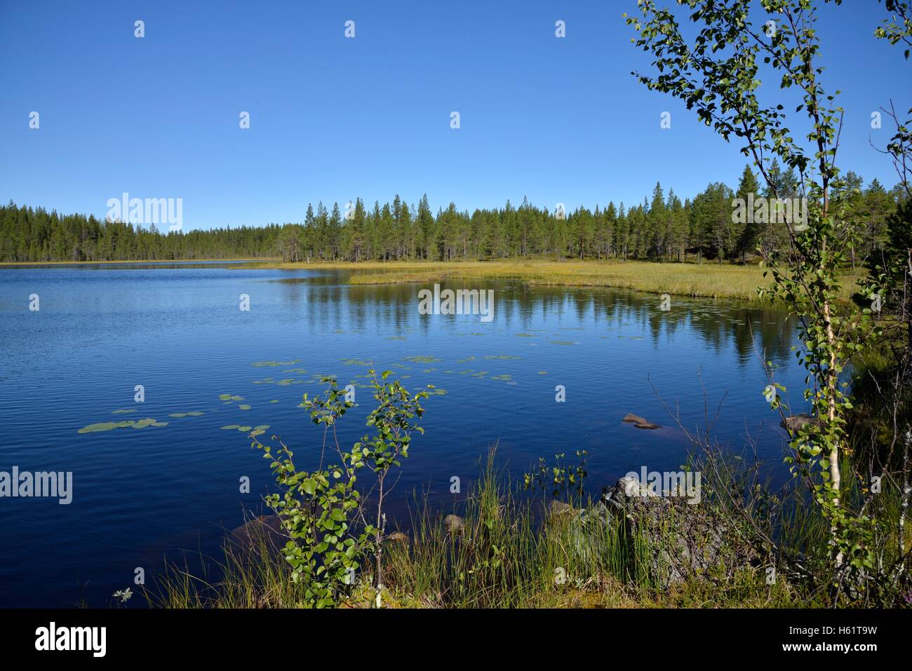 Lake near Börtnan, Ljungdalen, Jämtland, Sweden Stock Photo