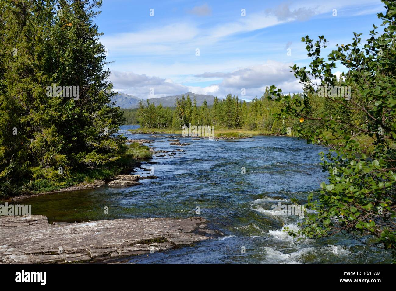 River Rövran, Ljungdalen, Jämtland, Sweden Stock Photo