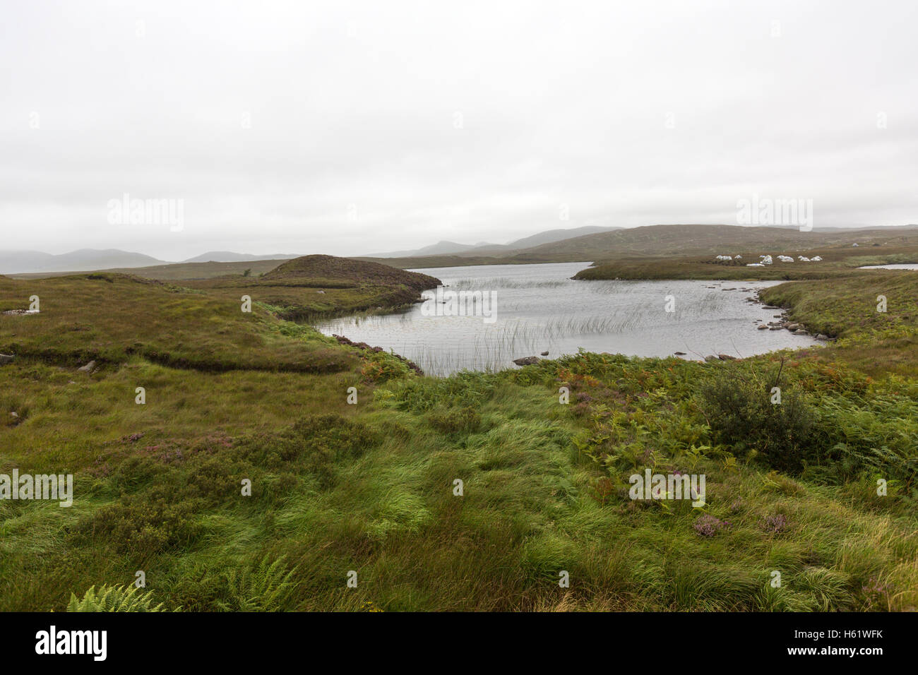 Lake and Desolated landscape moor in  Donegal County, Ireland Stock Photo