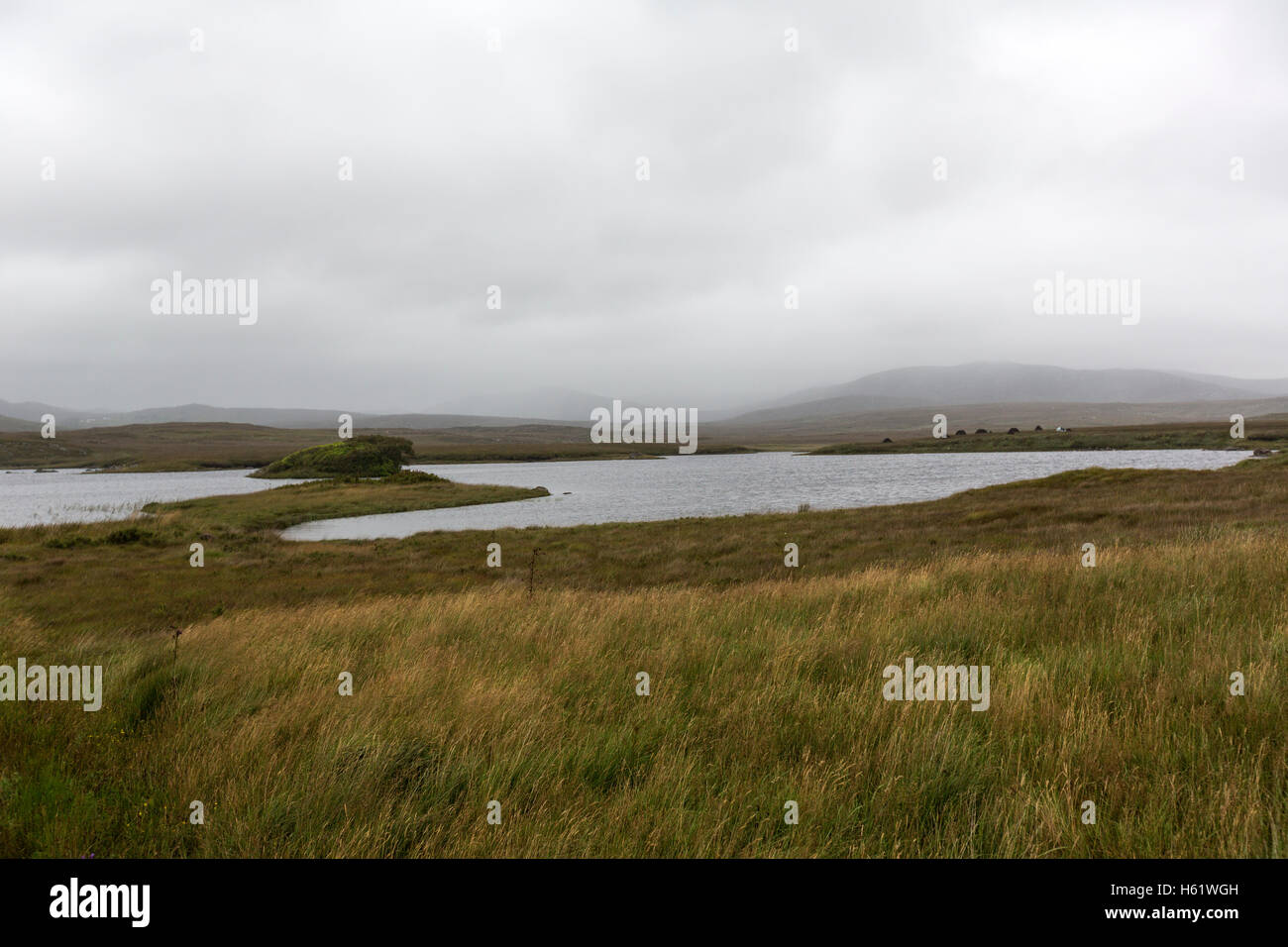 Lake in a desolated landscape moor in  Donegal County, Ireland Stock Photo