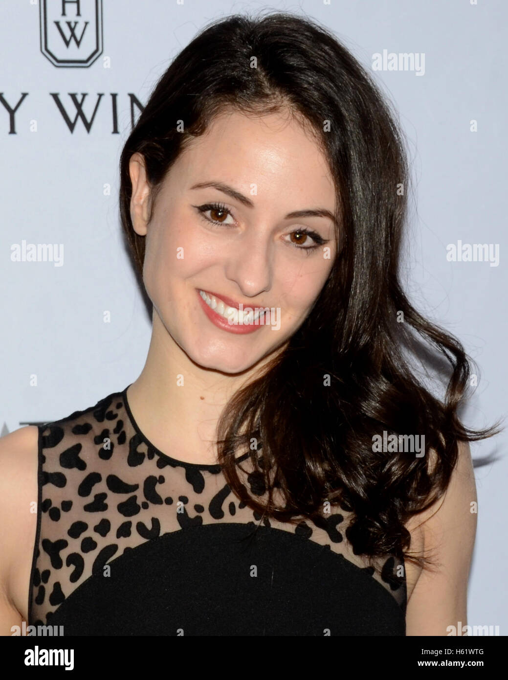 Melanie Hamrick arrives at the American Ballet Theatre 75th Anniversary Holiday Benefit at the Beverly Hilton Hotel in Beverly Hills California on December 8, 2015. Stock Photo