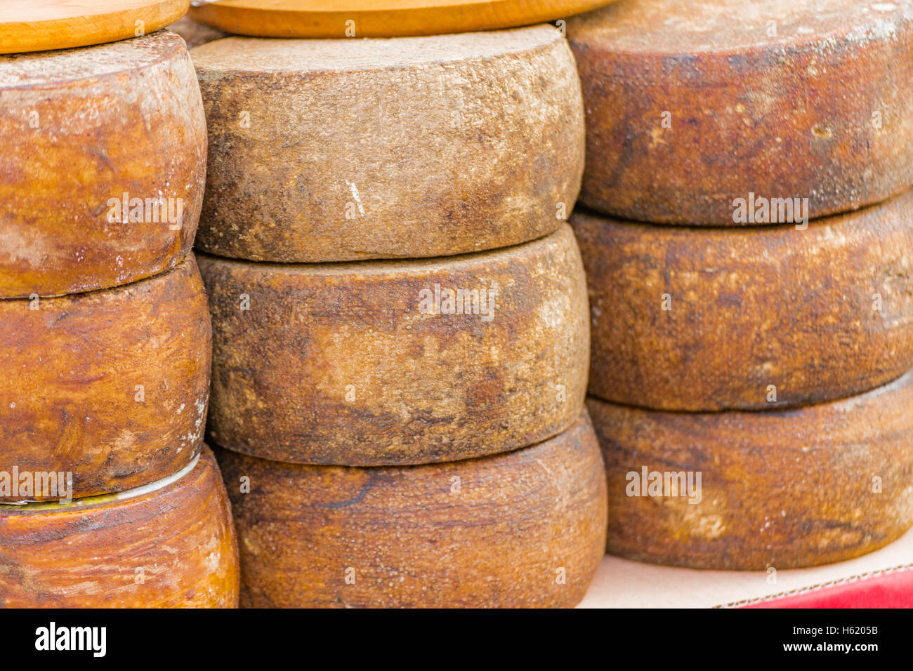 forms of seasoned Sardinian cheese Stock Photo