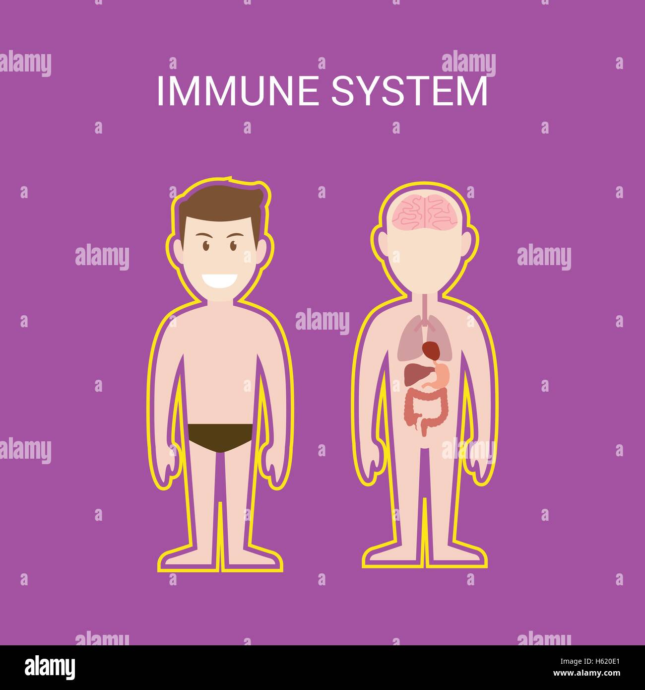 immune system illustration with cartoon human man body protection effect  Stock Vector Image & Art - Alamy