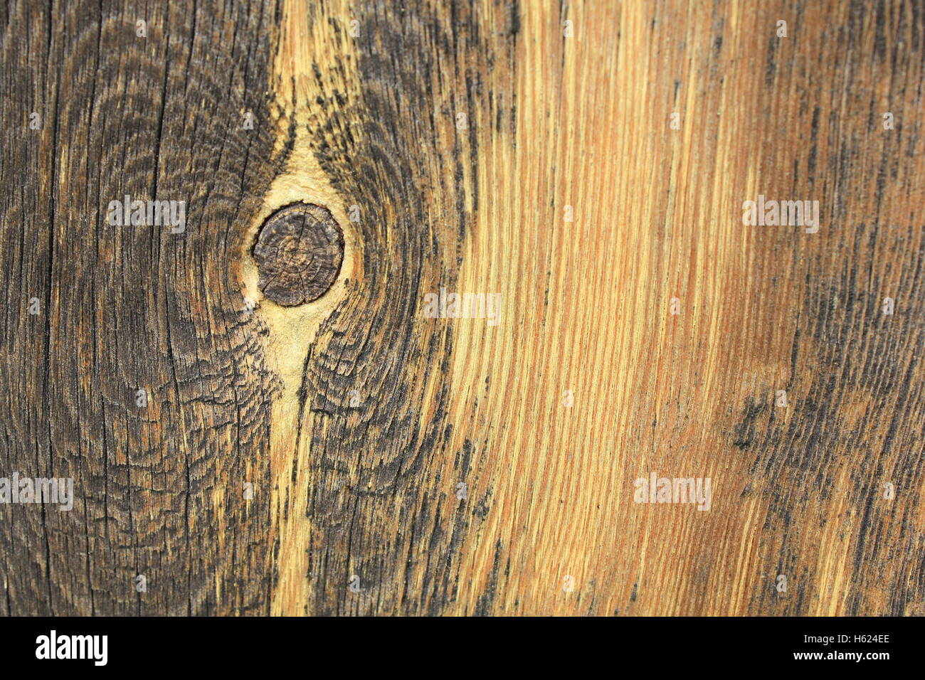 Texture of the old dry pine boards 20553 Stock Photo Alamy