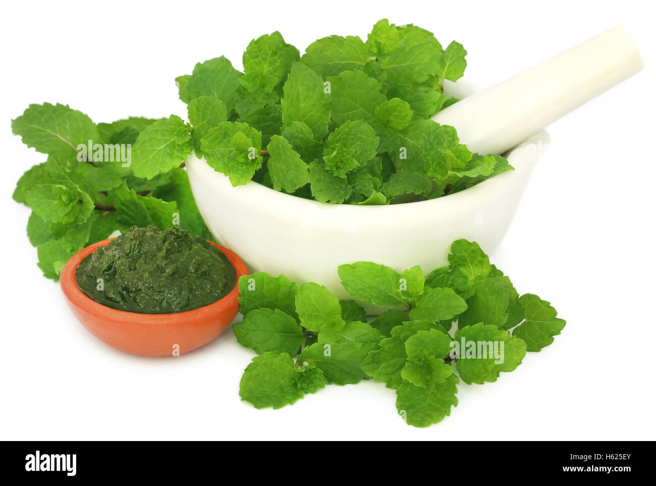 Bunch of mint leaves in a mortar with ground paste in a pottery Stock Photo