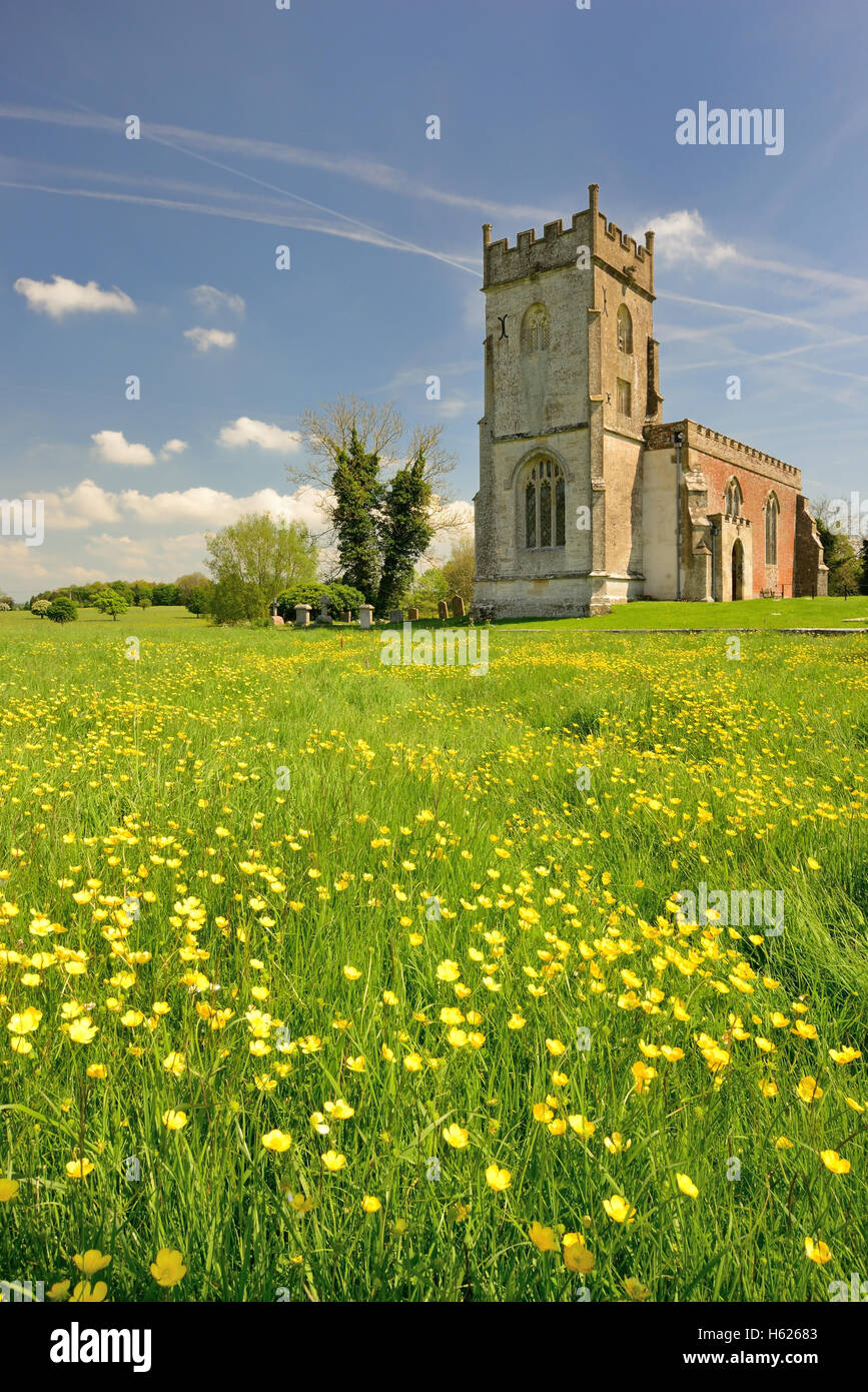 A field of buttercups at St Matthew's church, Rushall, Wiltshire. Stock Photo