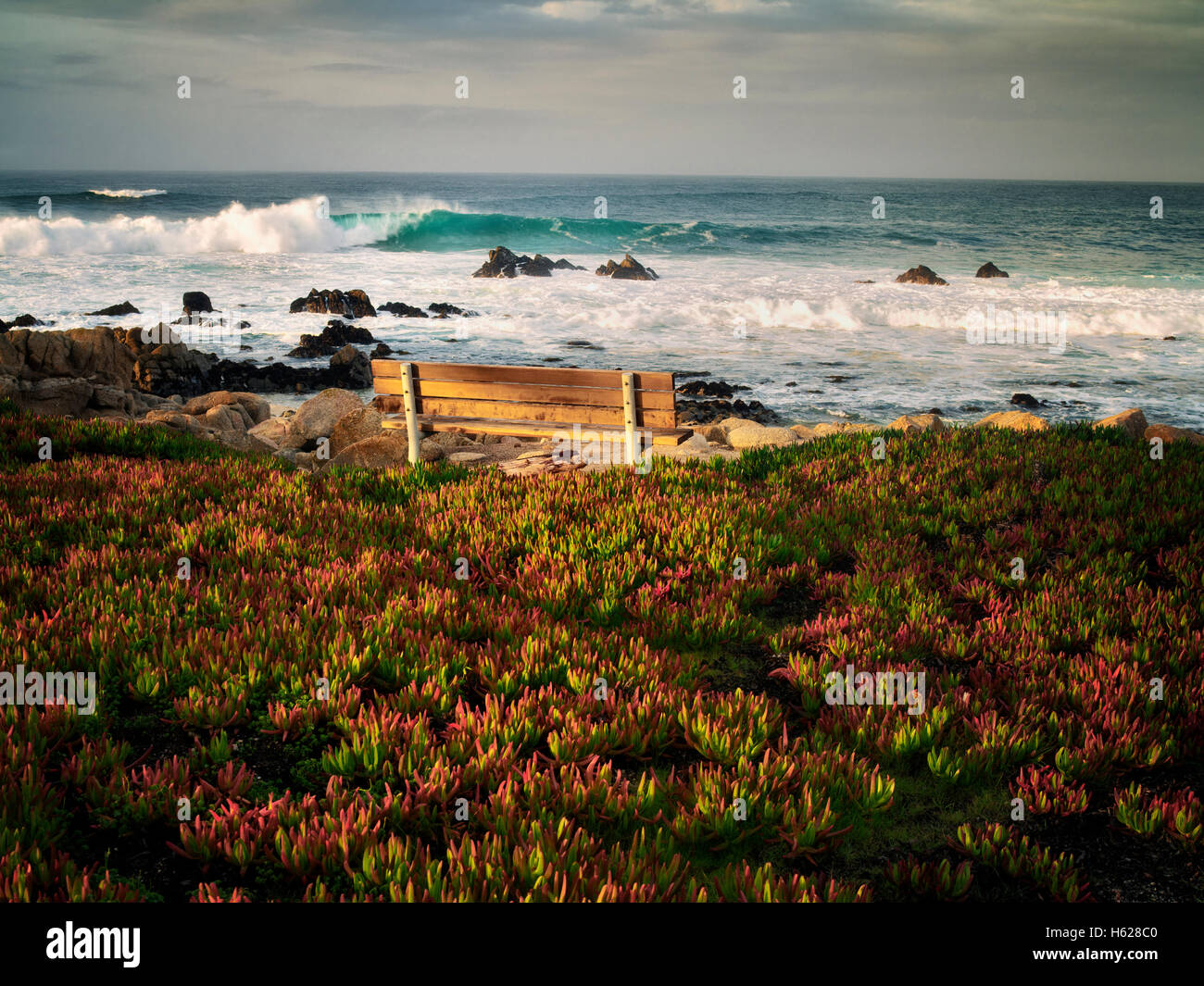 Bench with ice plant and ocean. Pacific Grove, California Stock Photo