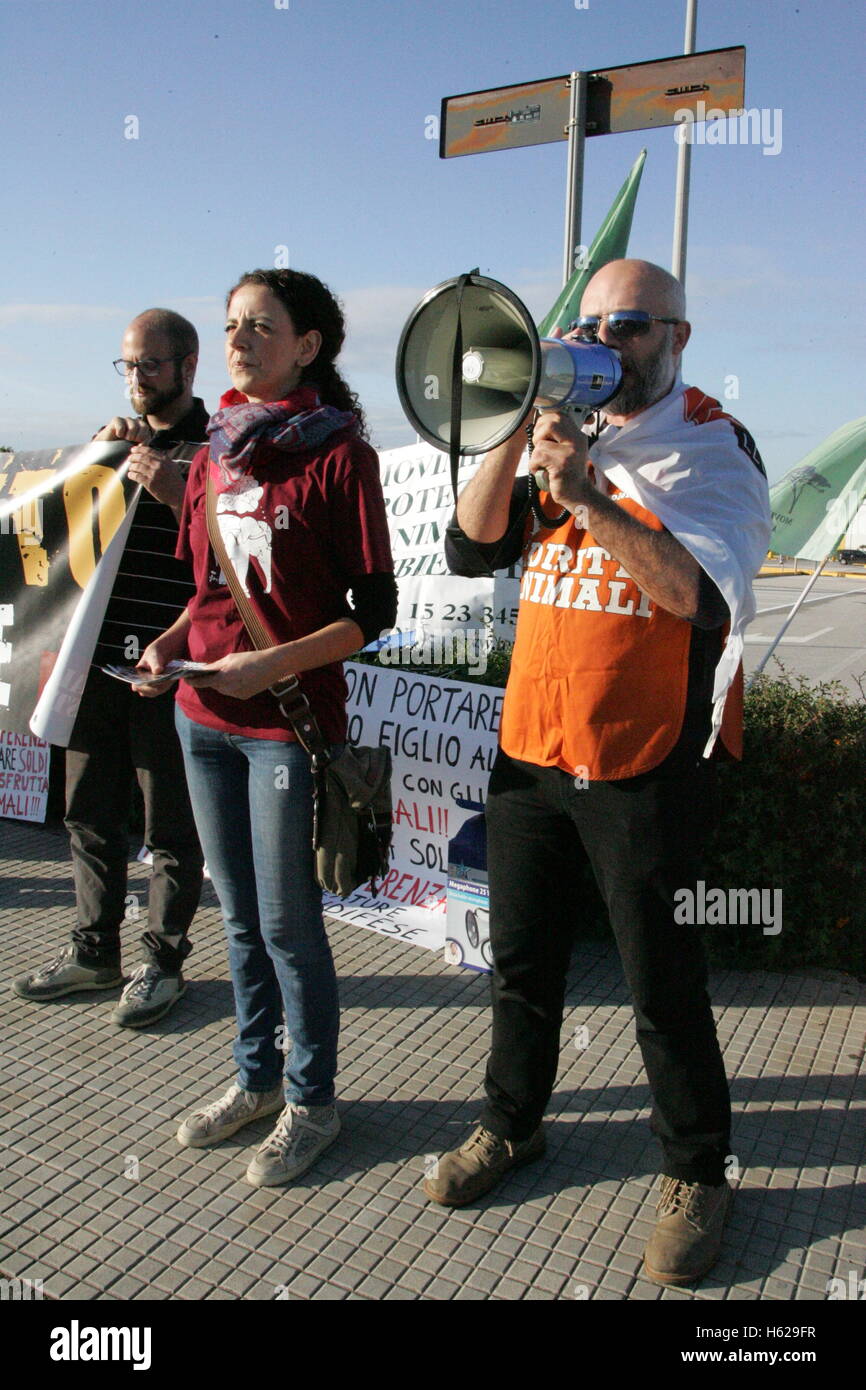 Giugliano In Campania, Italy. 23rd Oct, 2016. Protests of animal welfare organizations against the circus with the exploitation of animals, protest organized by animal welfare organizations 'Animal Amnesty Napoli', 'Lav Napoli', 'Antispecisti Partenopei', 'Voce animale 269'. © Salvatore Esposito/Pacific Press/Alamy Live News Stock Photo