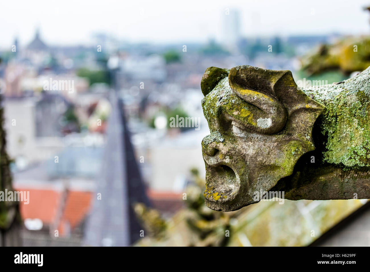 Gargoyle on St. Jan's cathedral overlooking the city of Den Bosch, Netherlands. Stock Photo