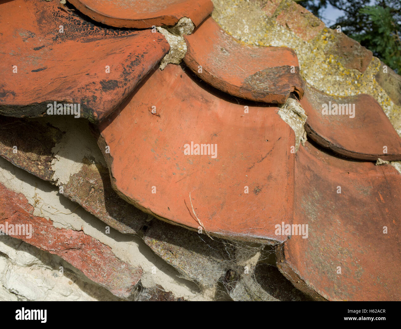 Old Roof Tiles Stock Photo