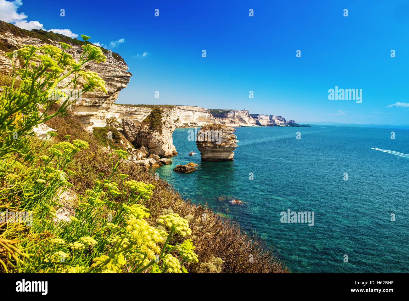 Bonifacio town on beautiful white rock cliff with sea bay, Corsica, France, Europe. Stock Photo