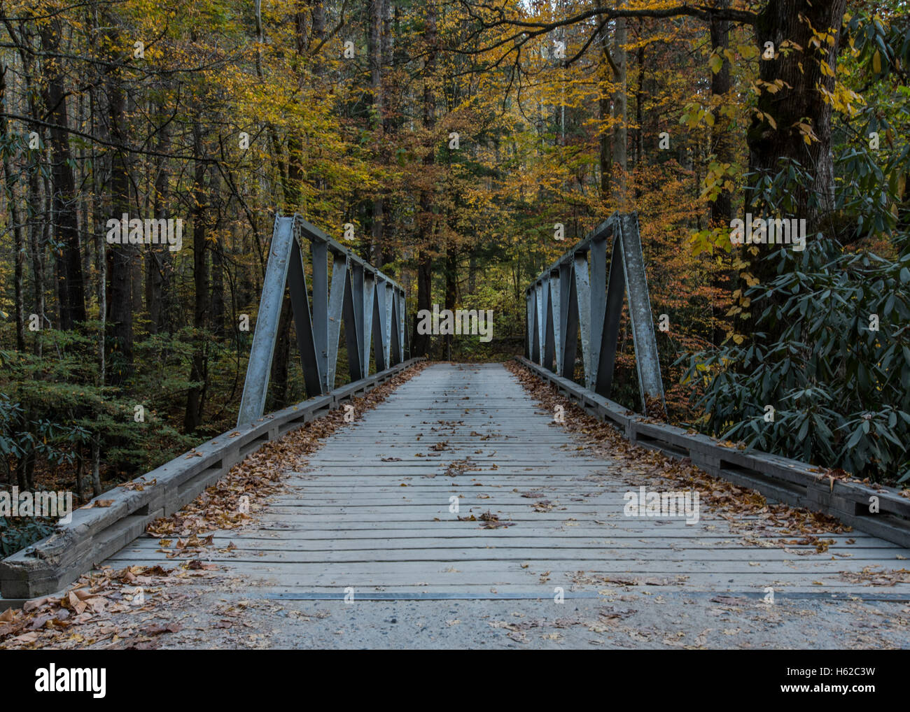 Entering One Lane Bridge into autum forest Stock Photo
