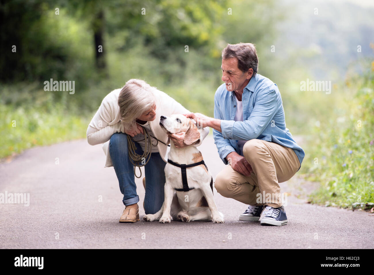 Senior couple with dog in nature Stock Photo - Alamy