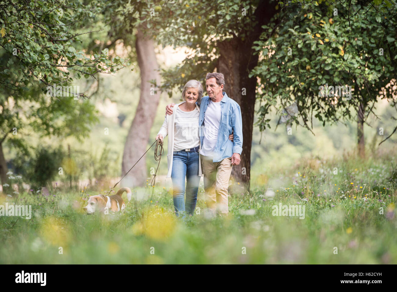 Senior couple on a walk with dog in nature Stock Photo - Alamy