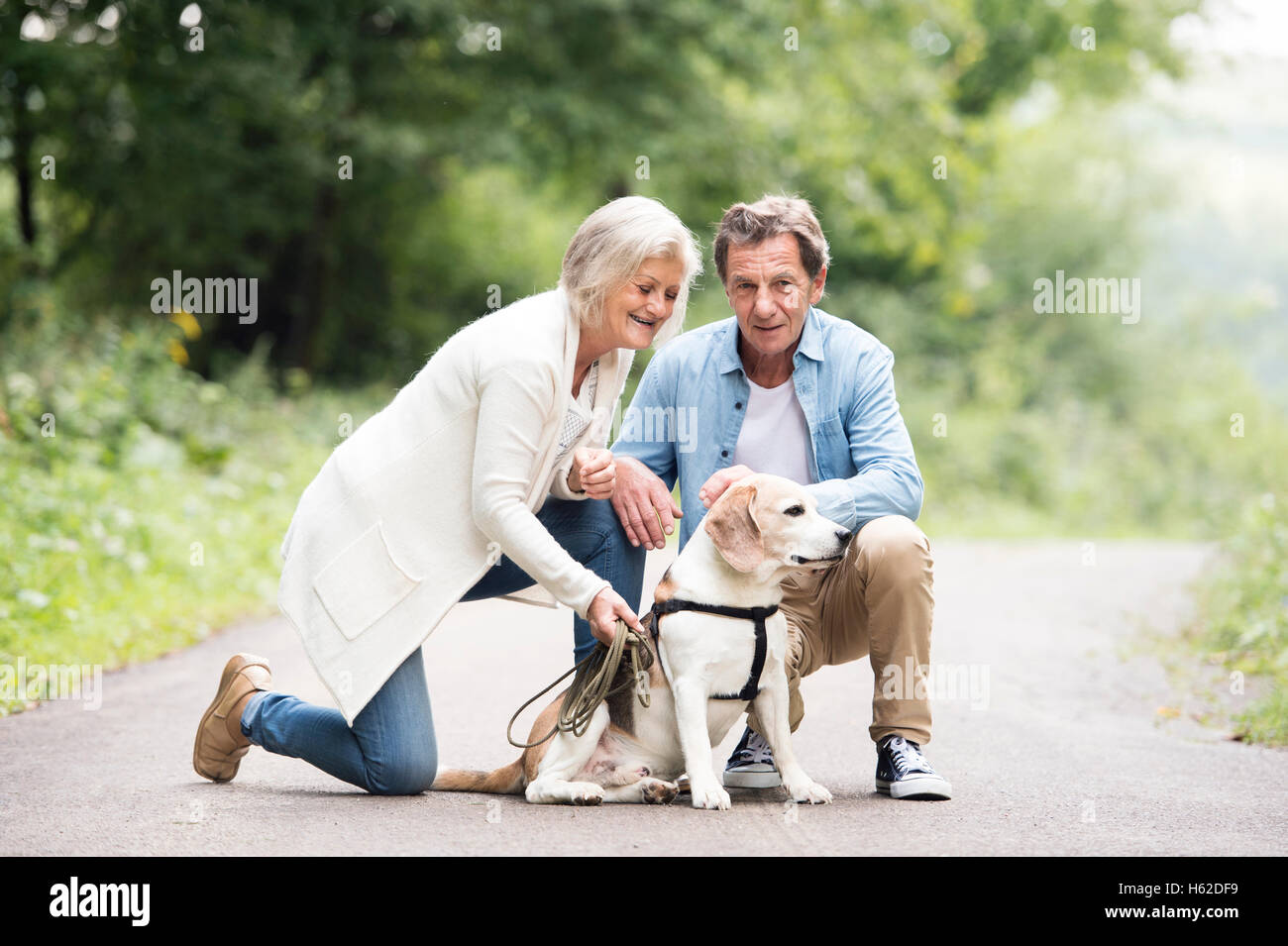 Senior couple with dog in nature Stock Photo - Alamy