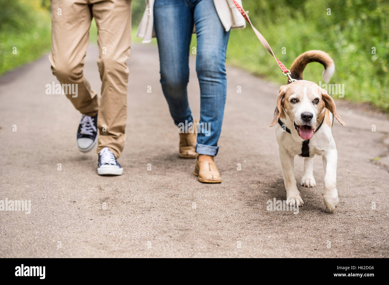 Couple on a walk with dog in nature, partial view Stock Photo - Alamy